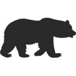 Niedźwiedź 36szt